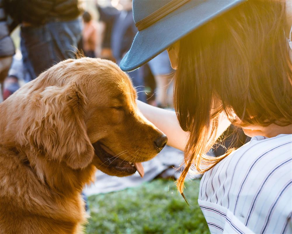 Why are Dog Parks Important?